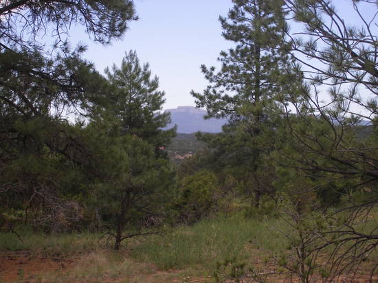 Nature's Best - Location - Location - Fun and Private Near Trinidad Lake and Wildlife Viewing!! - Longs Canyon Ranch 12 (County Road 16, Trinidad)